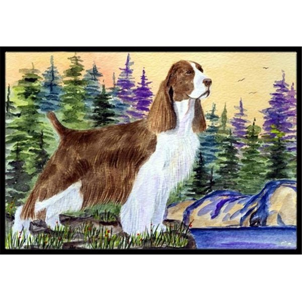 Carolines Treasures Carolines Treasures SS8105JMAT Springer Spaniel Indoor Or Outdoor Doormat - 24 x 36 in. SS8105JMAT